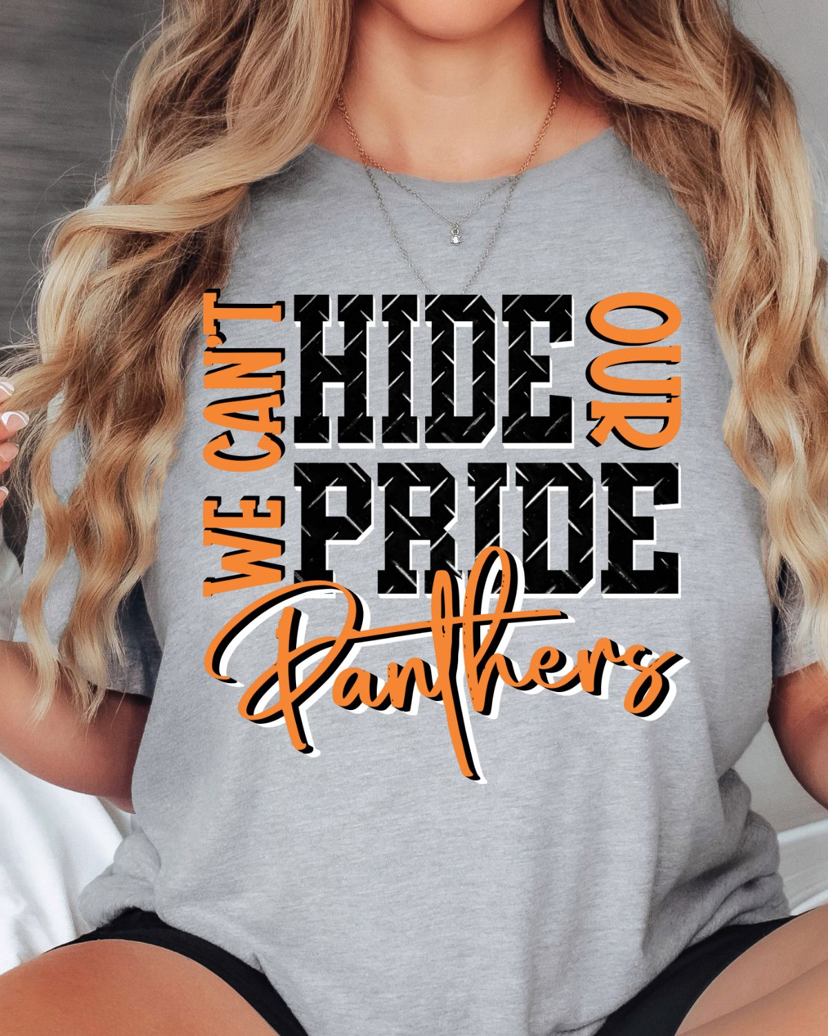 We Can't Hide Our Pride Panthers DTF Transfer - Rustic Grace Heat Transfer Company