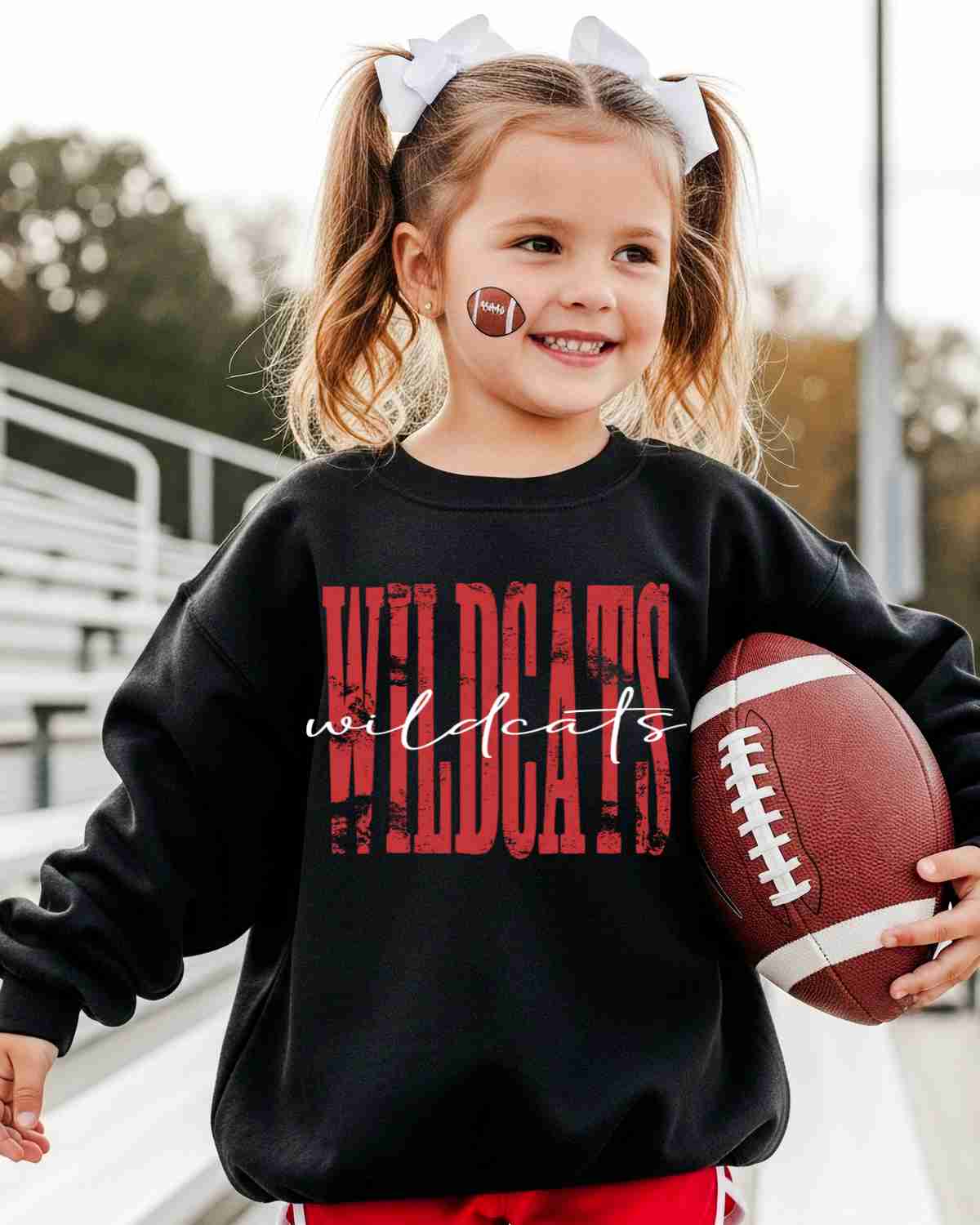 Wildcats Distressed DTF Transfer