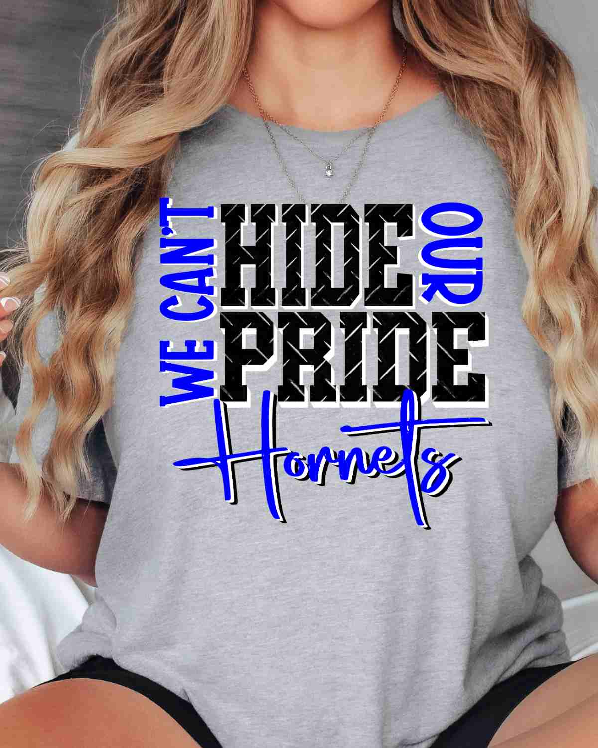 We Can't Hide Our Pride Hornets DTF Transfer