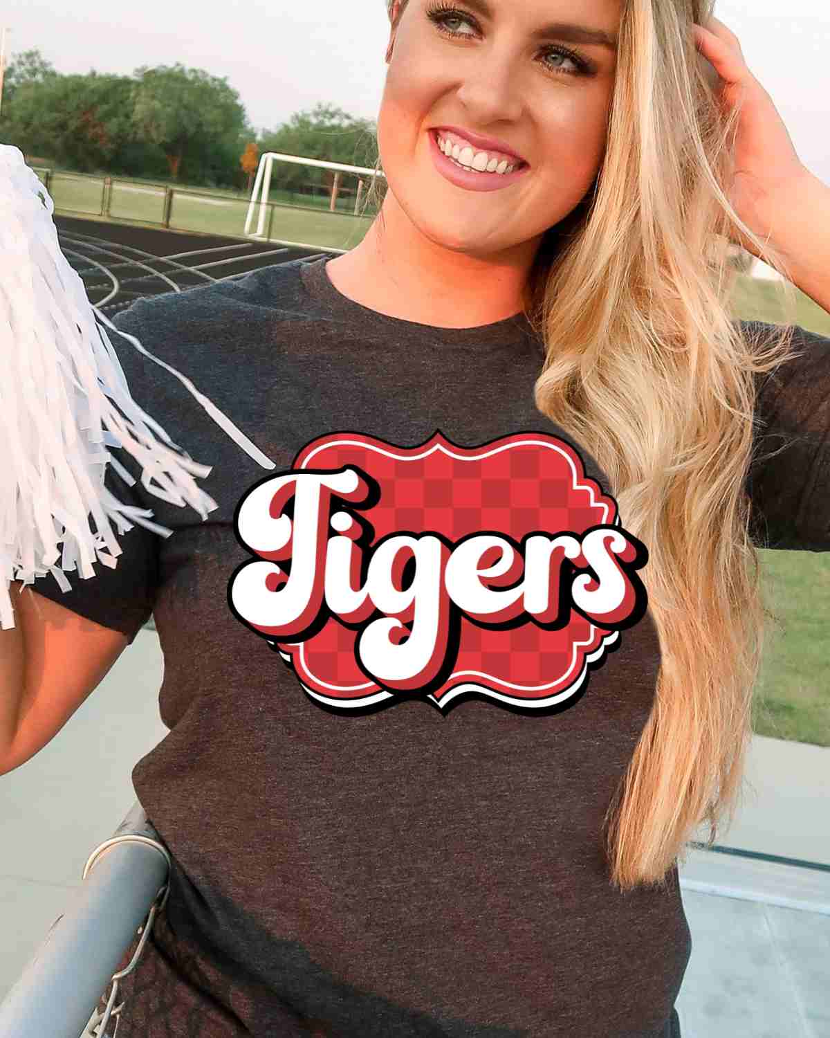 Tigers Retro Bracket DTF Transfer