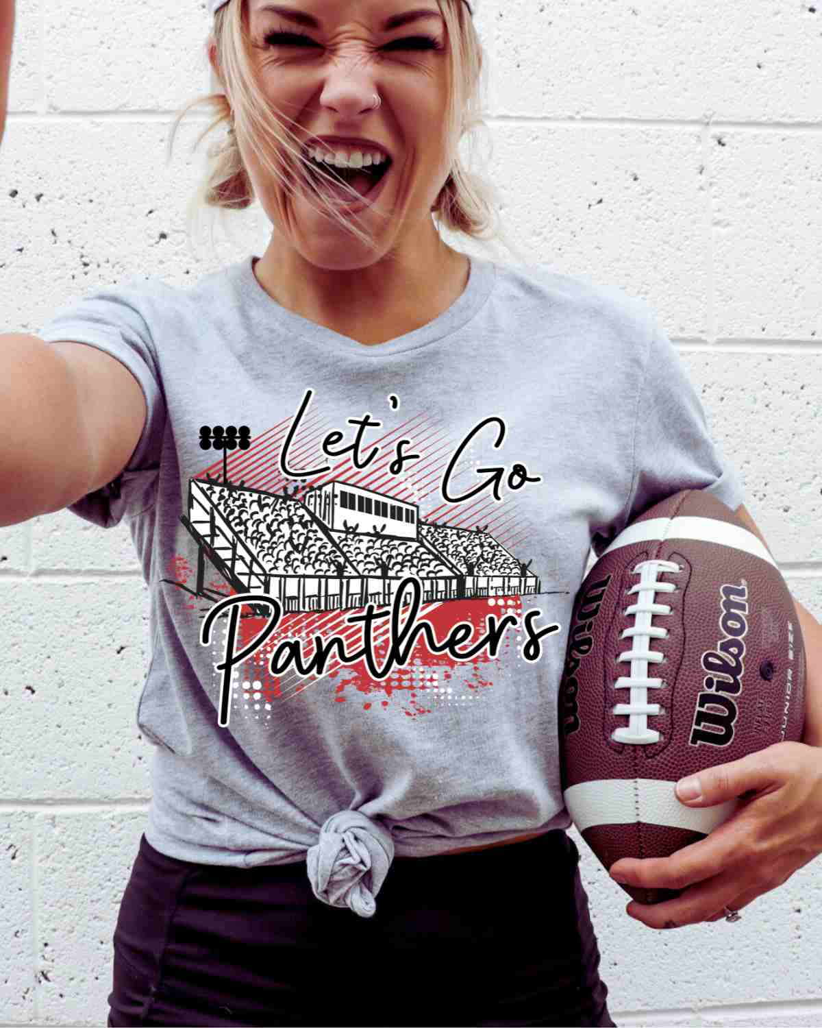 Let's Go Panthers Stadium DTF Transfer