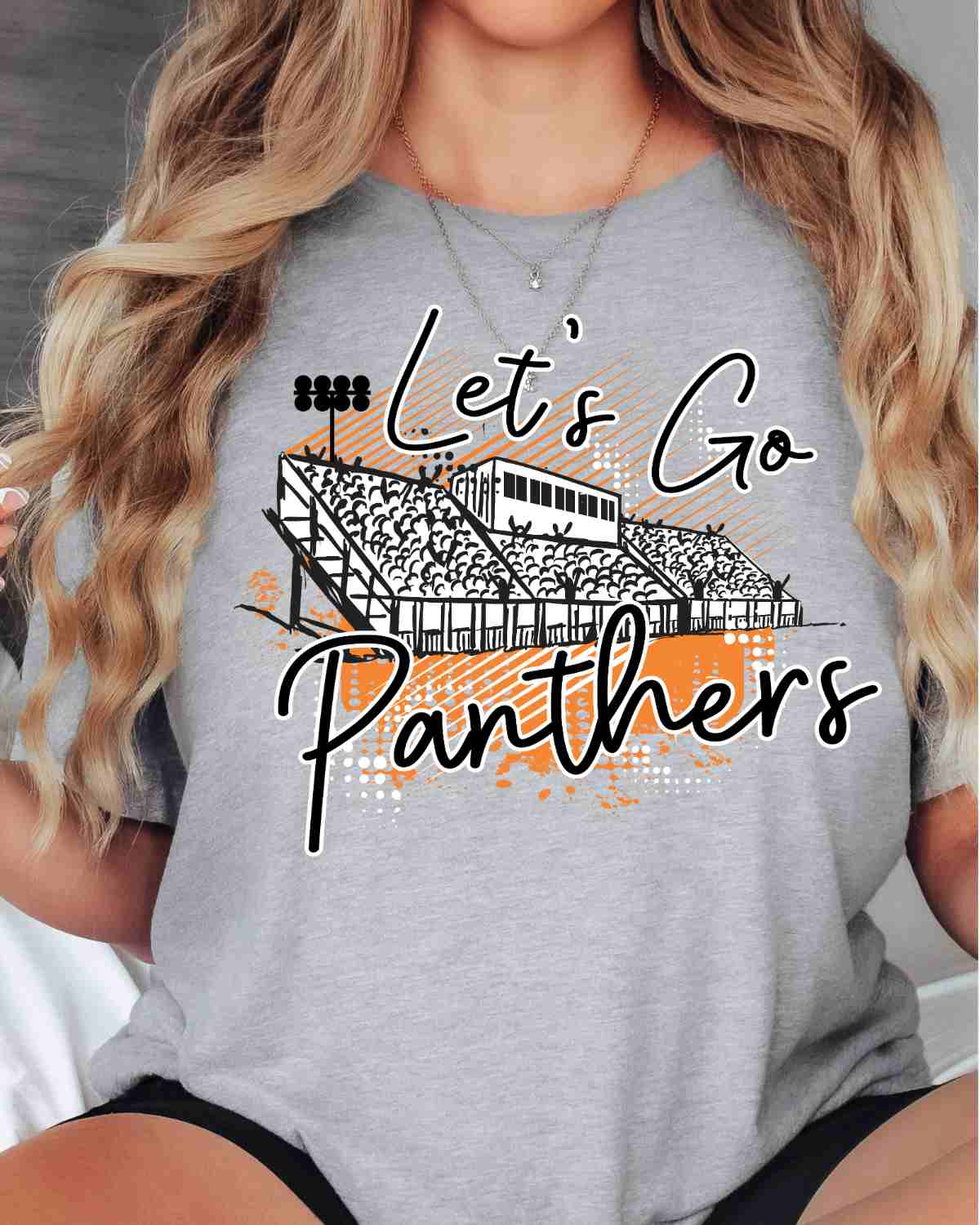 Let's Go Panthers Stadium DTF Transfer