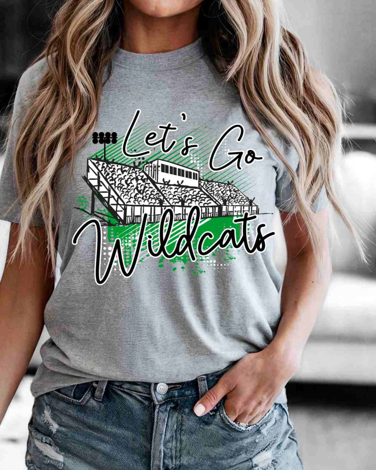 Let's Go Wildcats Stadium DTF Transfer