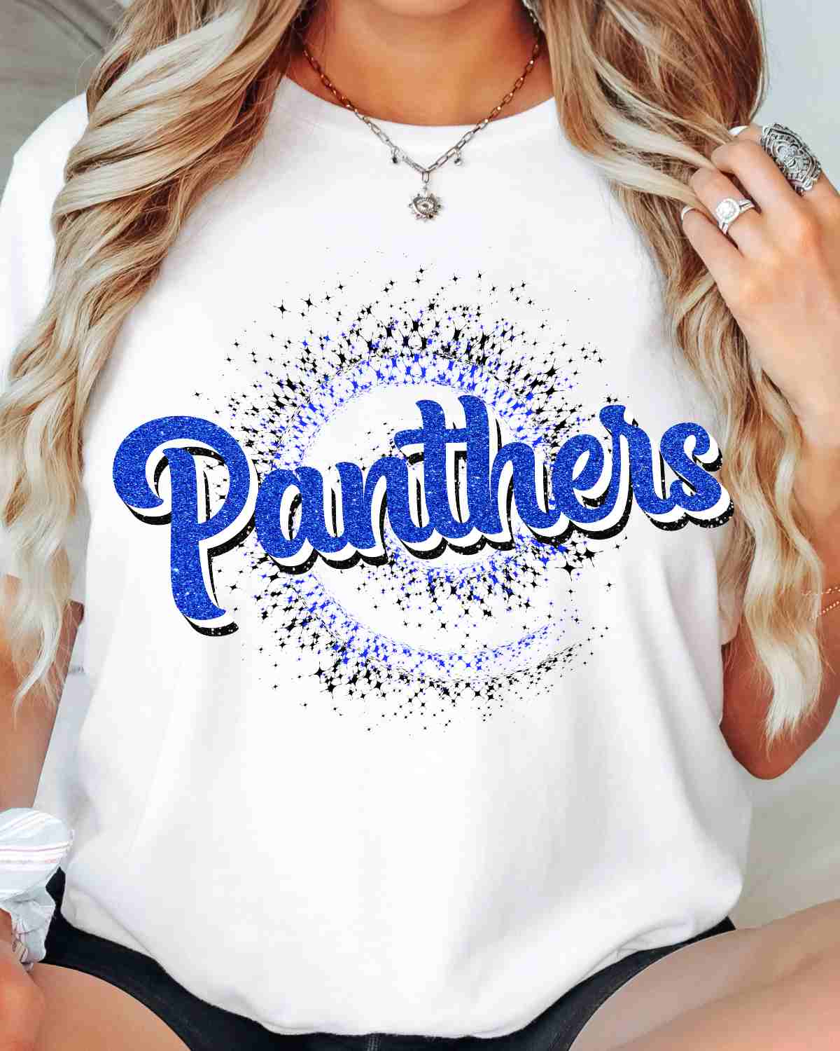 Panthers Swirl DTF Transfer