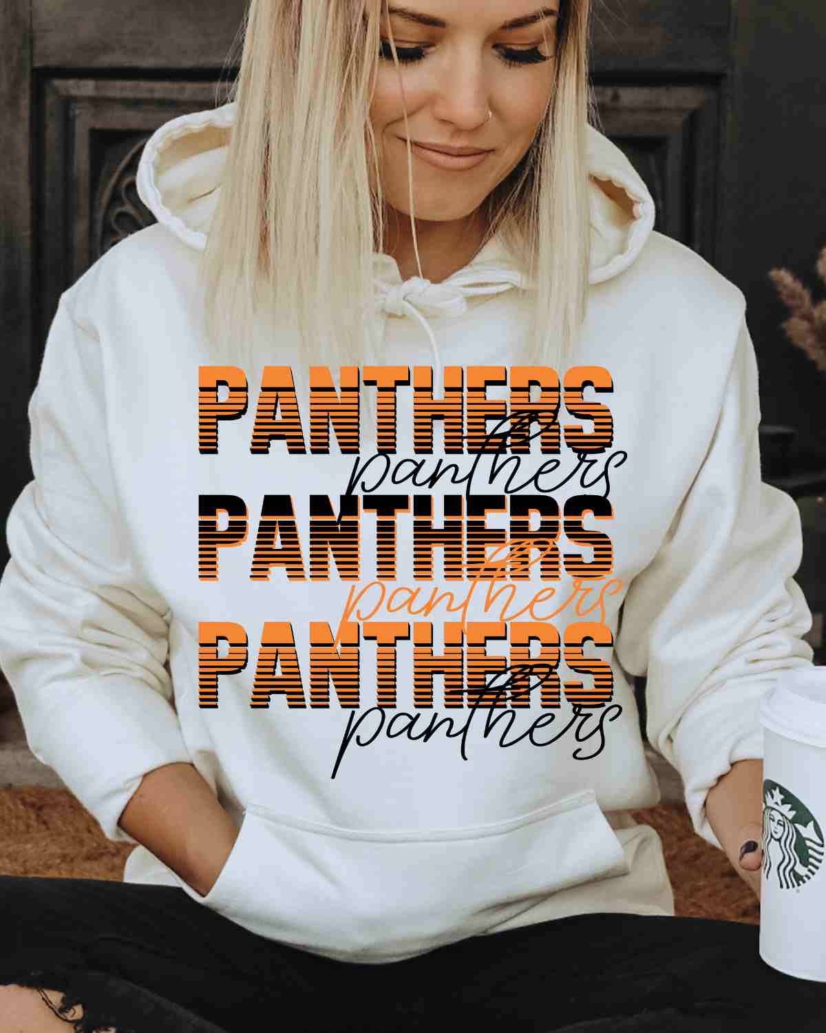 Panthers Sliced Lettering DTF Transfer