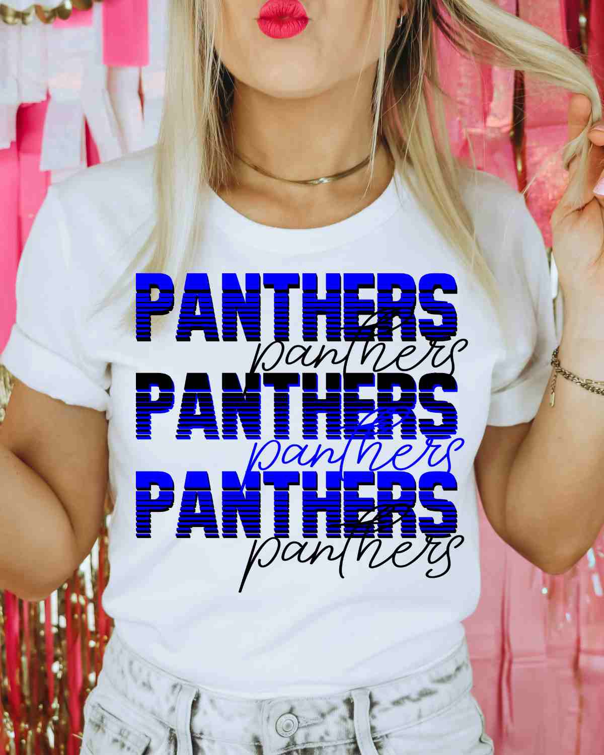 Panthers Sliced Lettering DTF Transfer