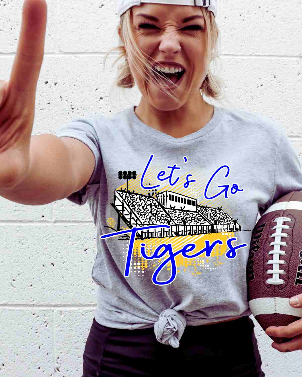 Let's Go Tigers Stadium DTF Transfer