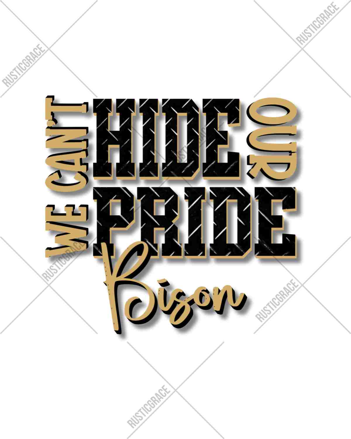 We Cant' Hide Our Pride Bison DTF Transfer