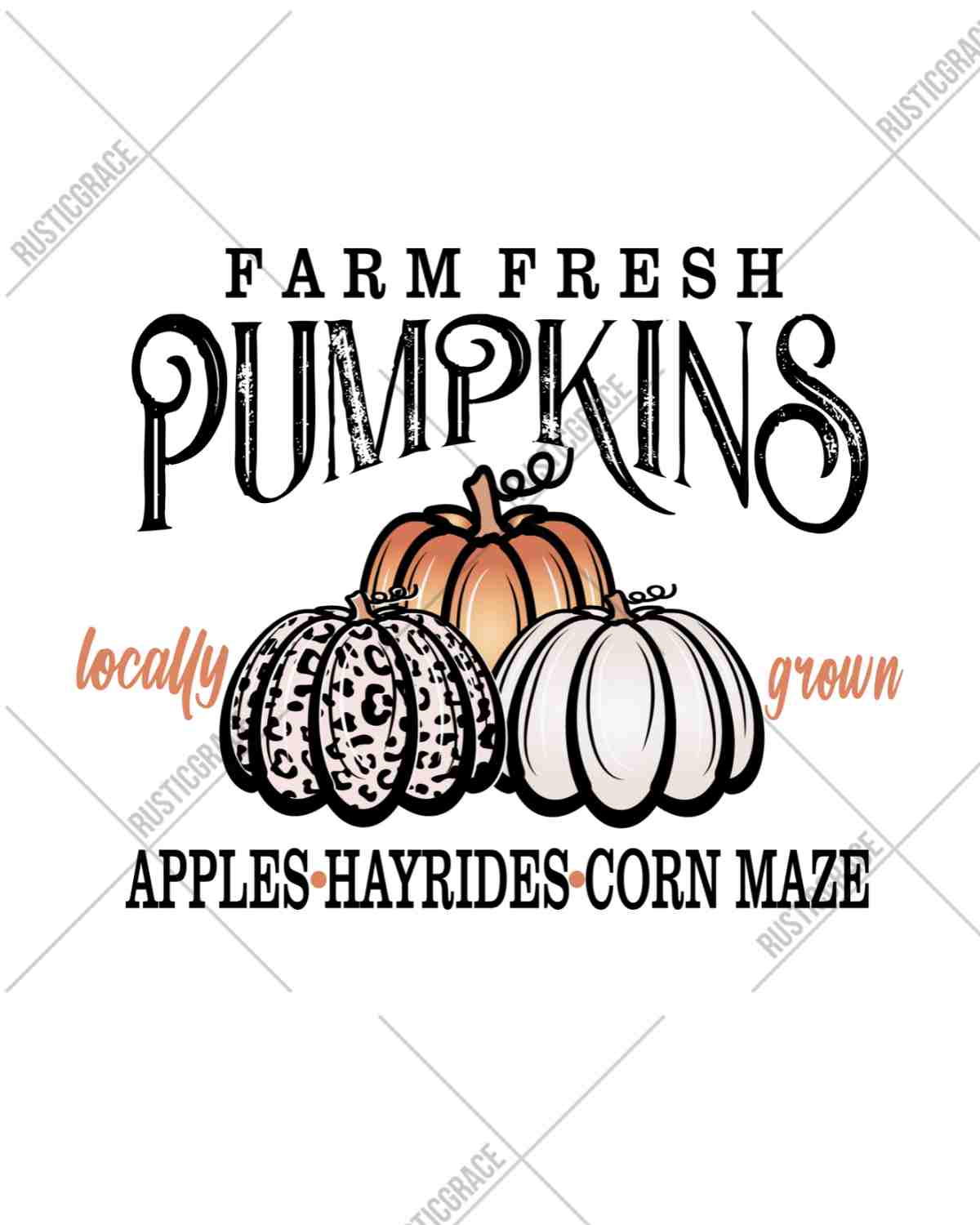 Farm Fresh Pumpkins DTF Transfer