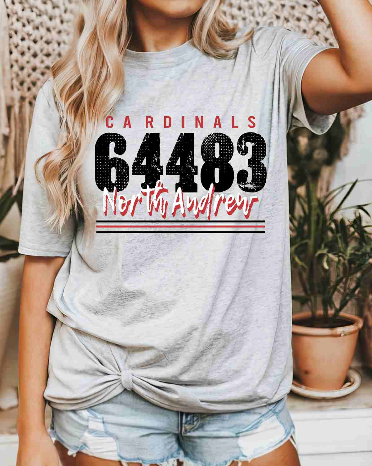 North Andrew Cardinals 64483 DTF Transfer