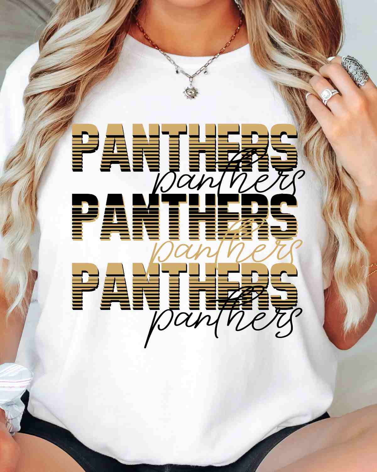 Panthers Sliced Lettering DTF Transfer