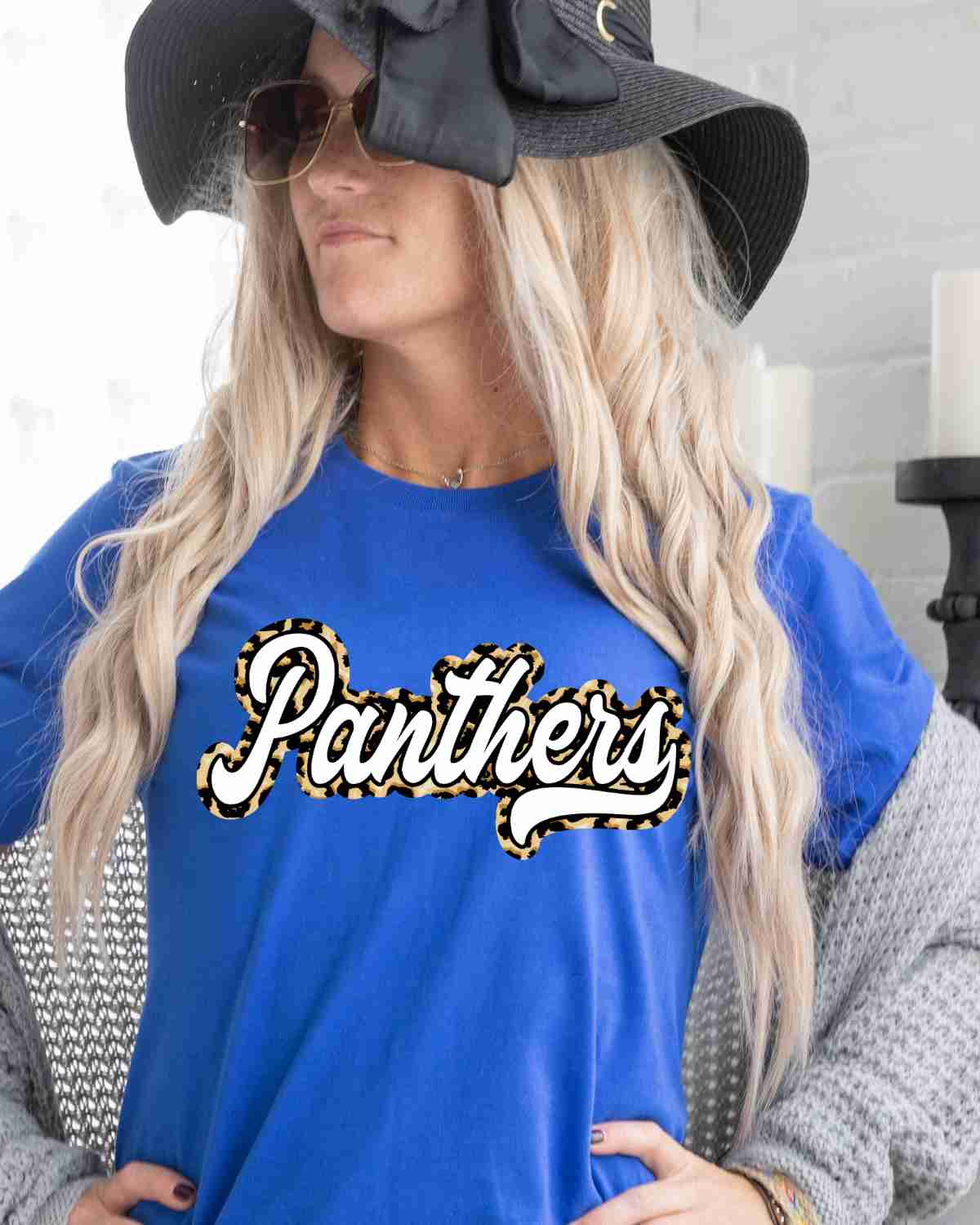 Panthers Retro Word DTF Transfer