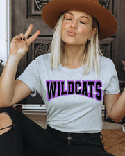 Wildcats Arch Word DTF Transfer