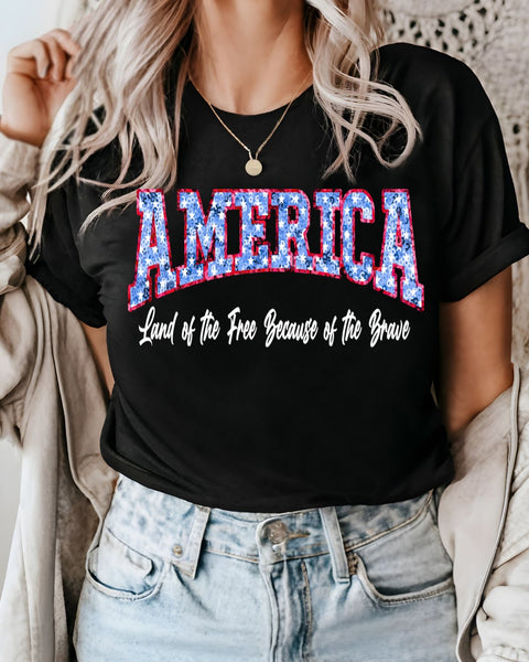 America Land of the Free Sequin DTF Transfer