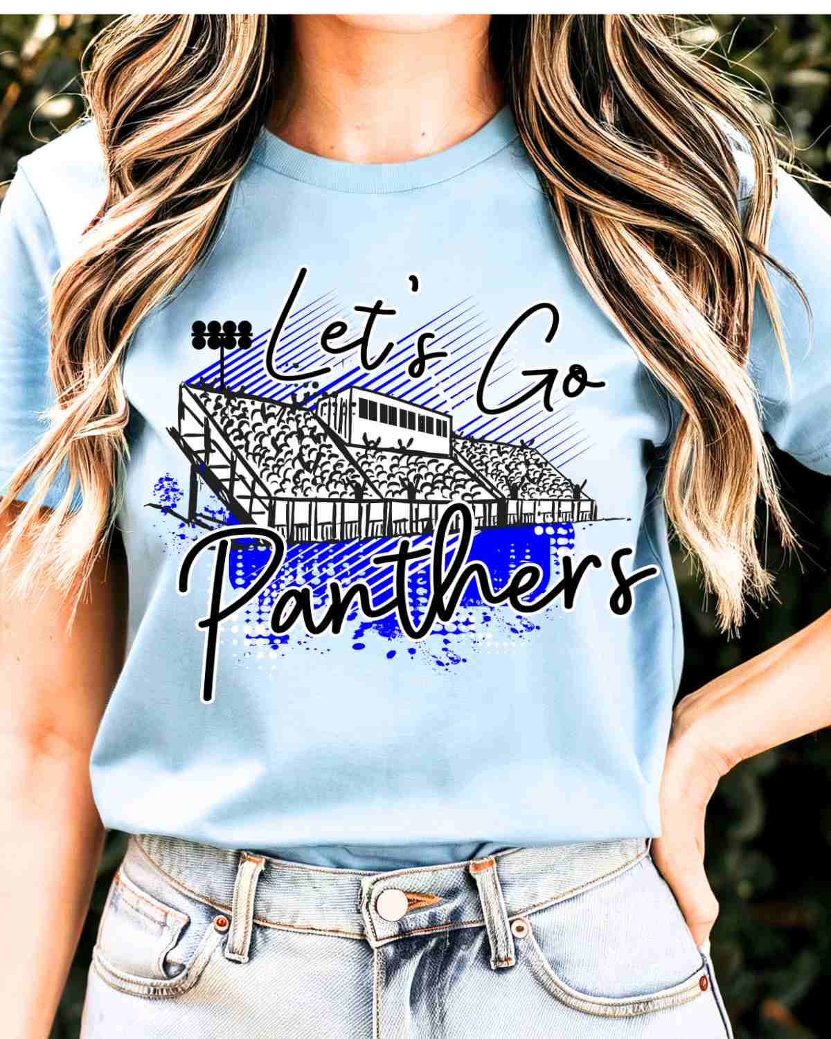 Let's Go Panthers Stadium DTF Transfer