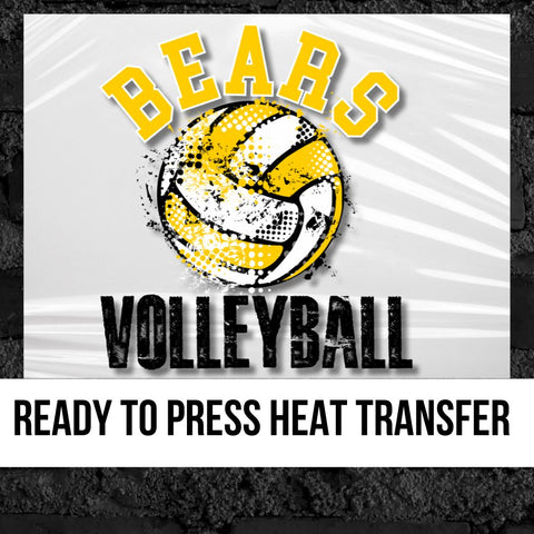 Bears Volleyball Grunge DTF Transfer