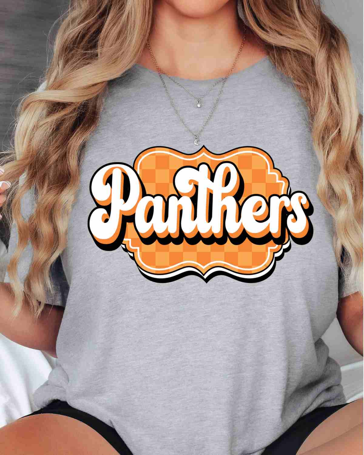 Panthers Retro Bracket DTF Transfer