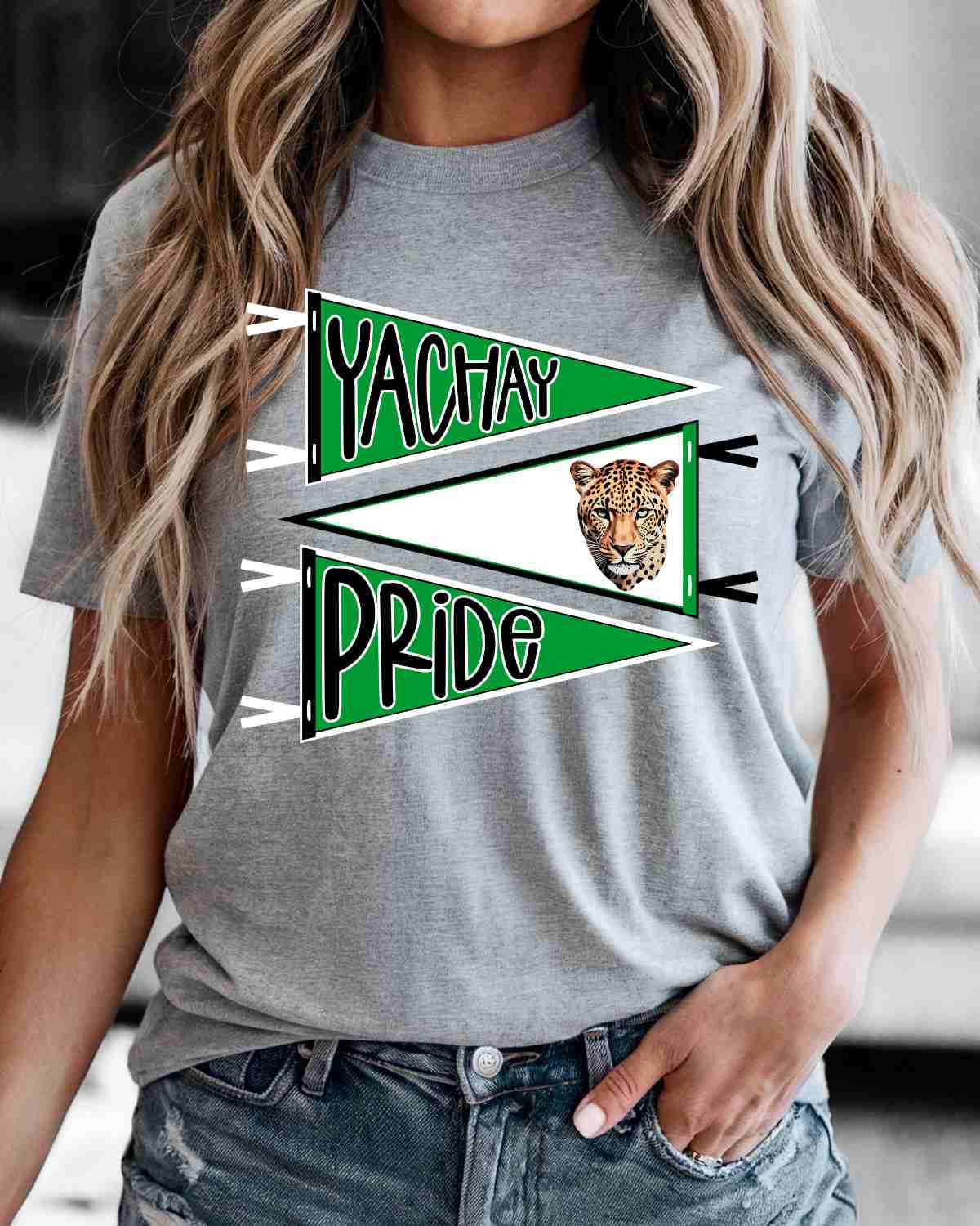 Yachay Pride Pennants DTF Transfer
