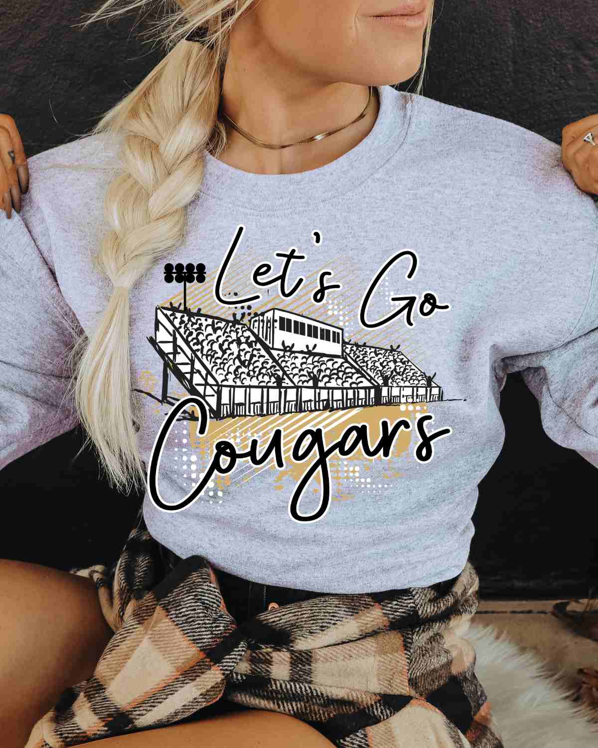 Let's Go Cougars Stadium DTF Transfer