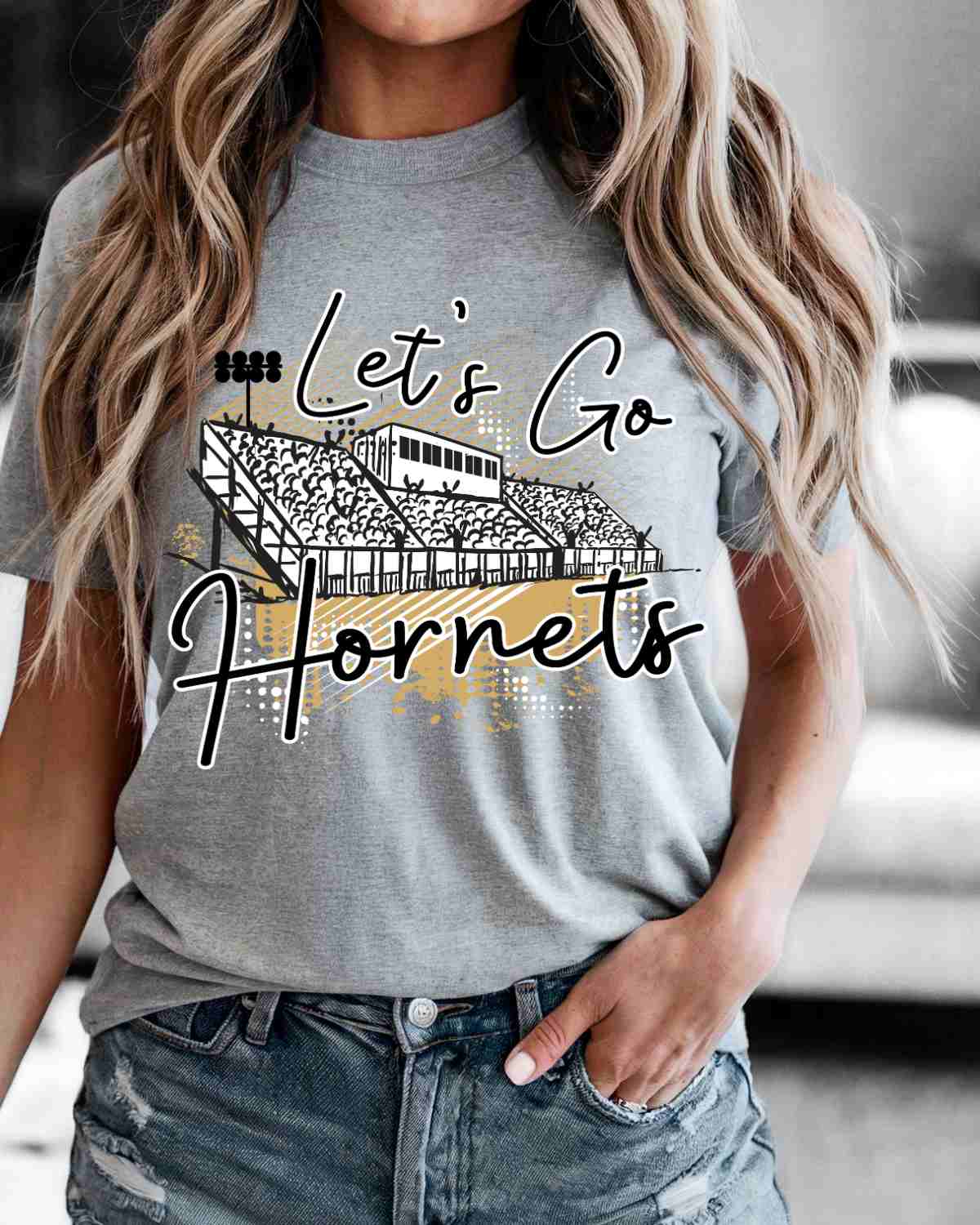 Let's Go Hornets Stadium DTF Transfer