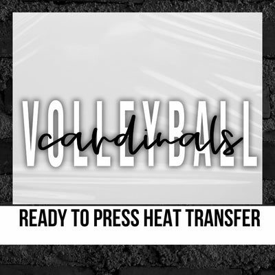 Customizable Volleyball with Mascot Name DTF Transfer