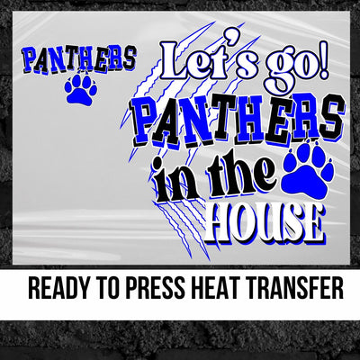 Let's Go Panthers in the House DTF Transfer