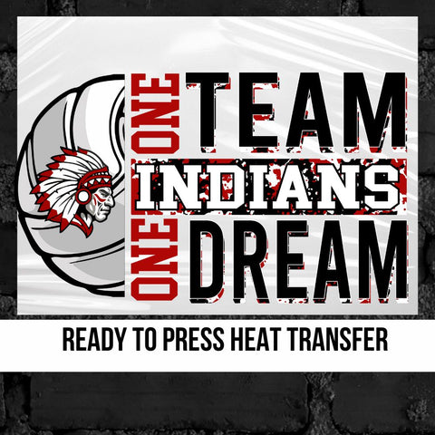 One Team One Dream Indians Volleyball DTF Transfer