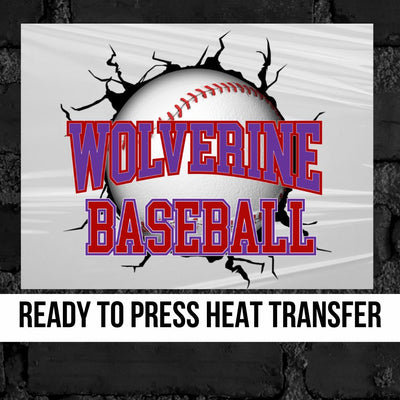 Wolverines Baseball Break Through DTF Transfer