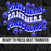 Panthers Swerve Retro DTF Transfer