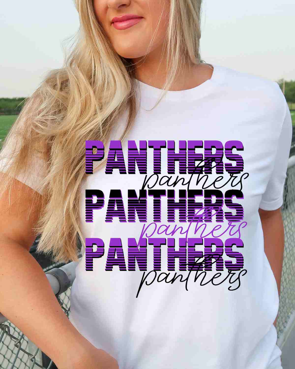 Panthers Sliced Lettering DTF Transfer