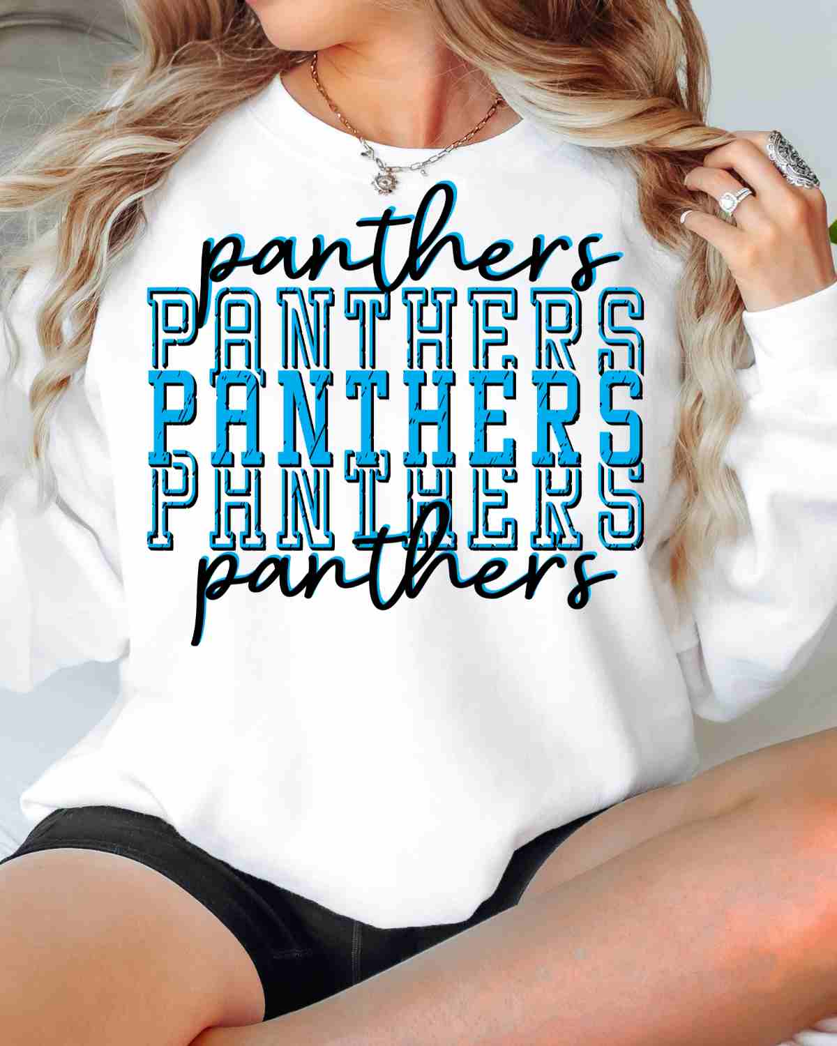 Panthers Repeating DTF Transfer