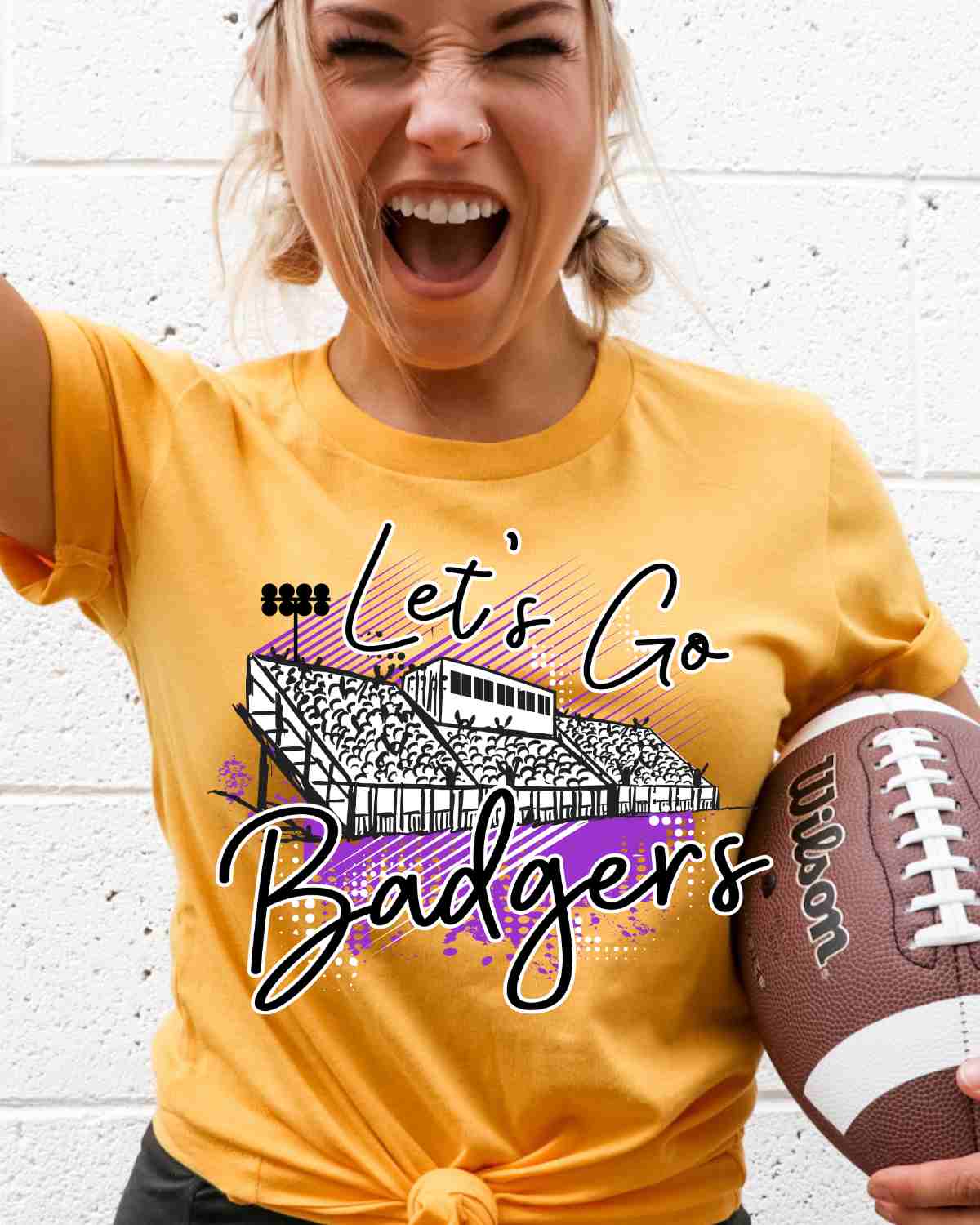 Let's Go Badgers Stadium DTF Transfer