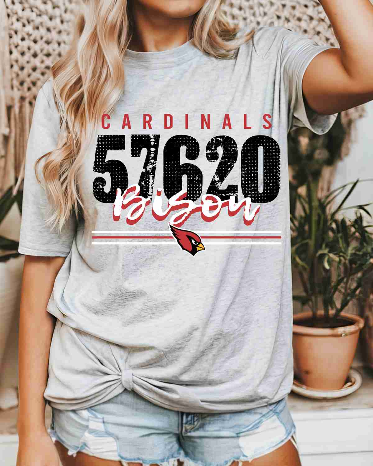 Bison Cardinals 57620 DTF Transfer