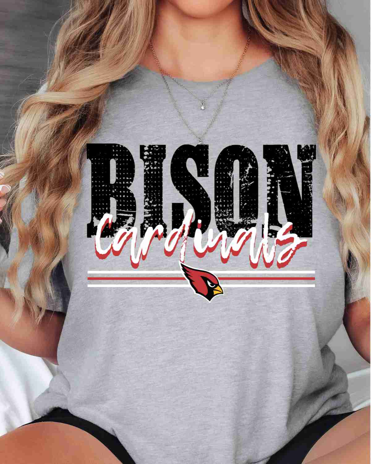 Bison Cardinals Logo Stripes DTF Transfer