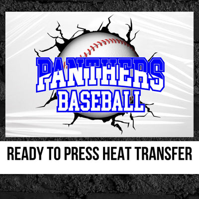 Panthers Baseball Break Through DTF Transfer