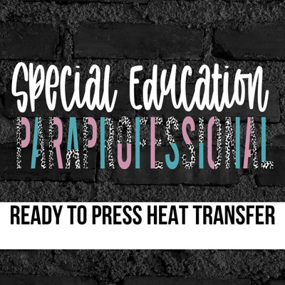 Special Education Paraprofessional Split DTF Transfer