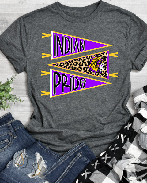 Indian Pride Pennants DTF Transfer
