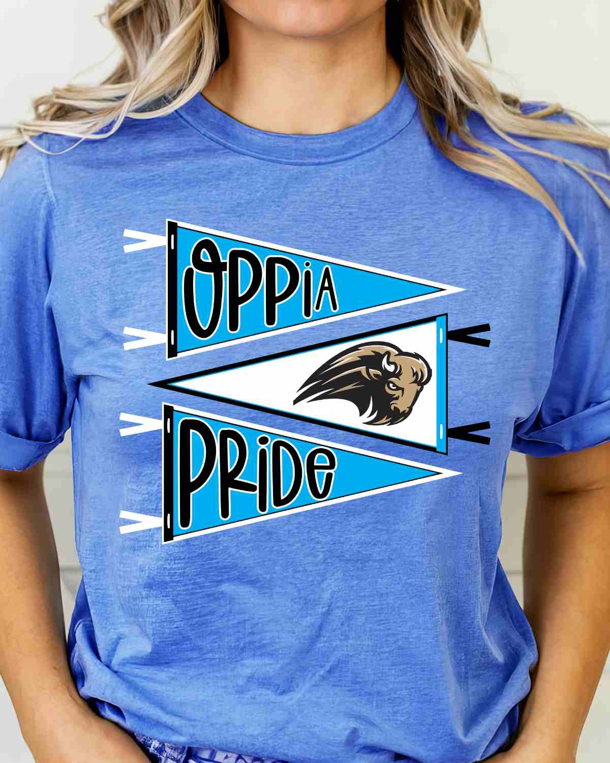 Oppia Pride Pennants DTF Transfer