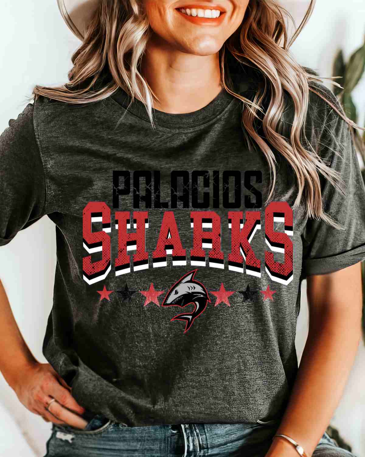 Palacios Sharks Stars Logo DTF Transfer