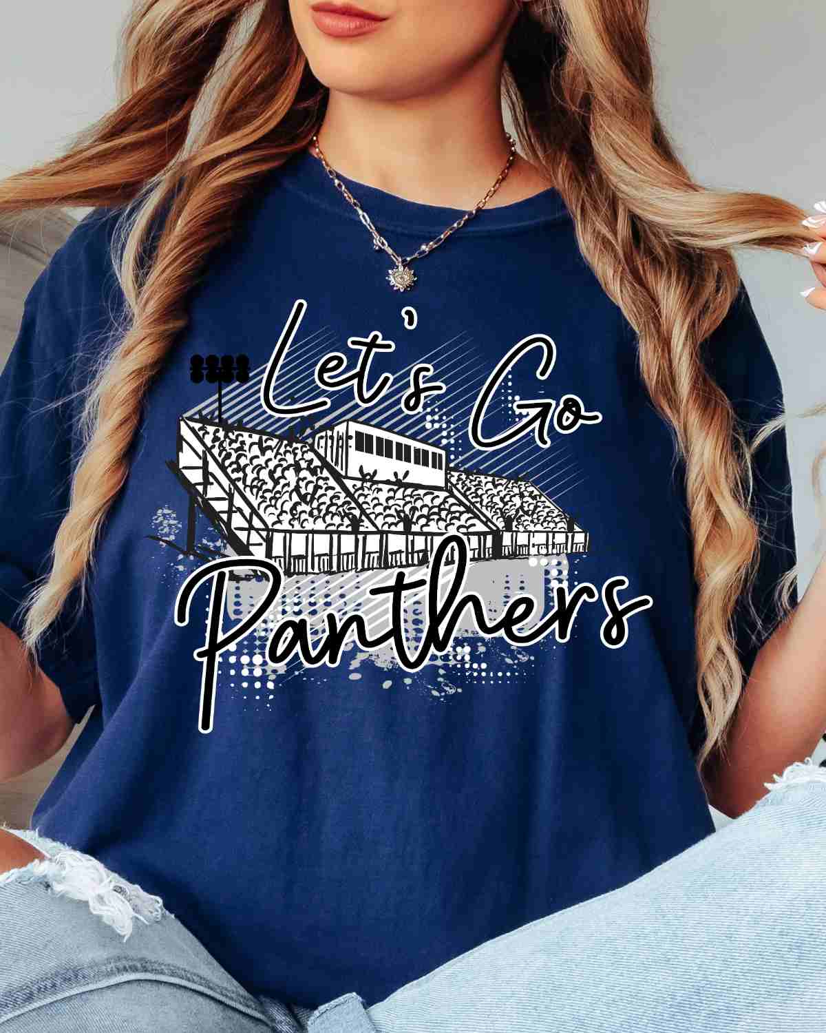 Let's Go Panthers Stadium DTF Transfer