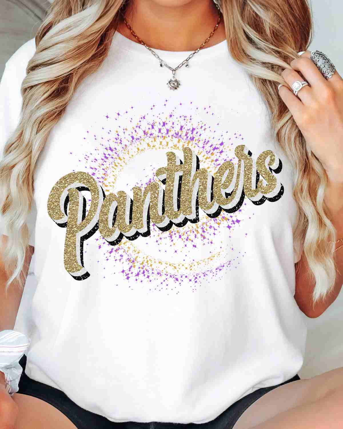 Panthers Swirl DTF Transfer