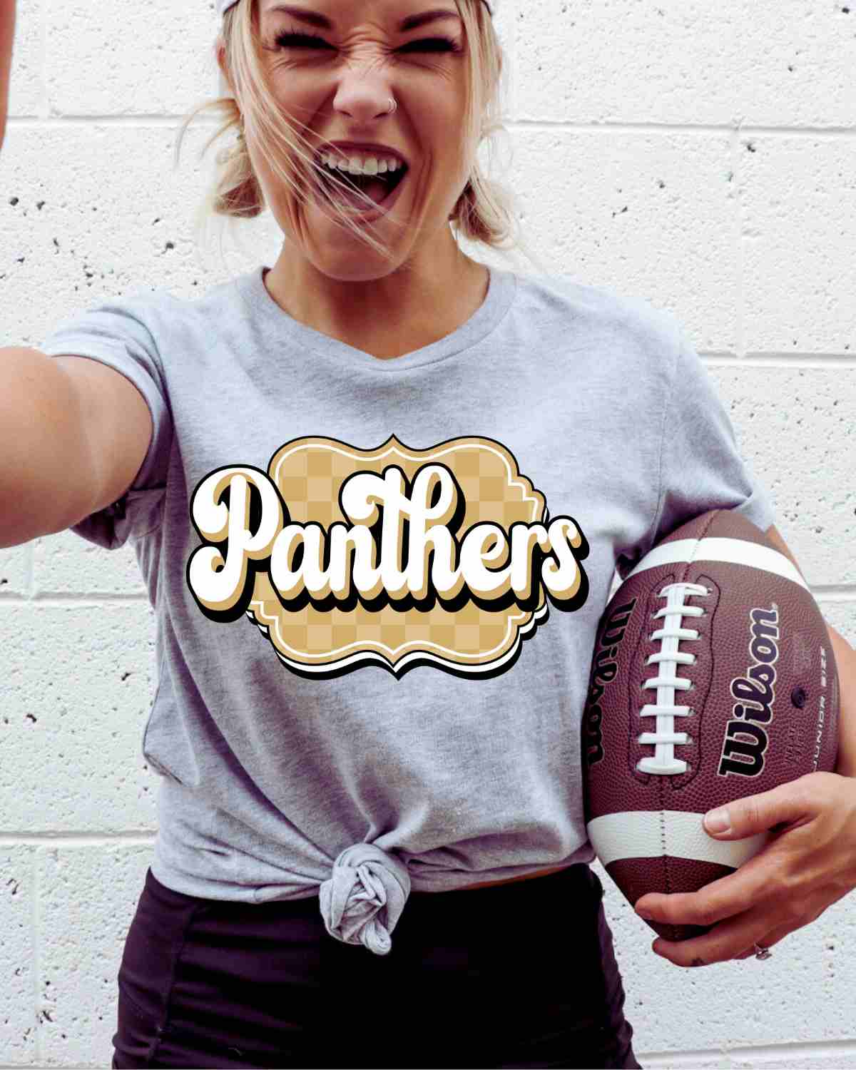 Panthers Retro Bracket DTF Transfer