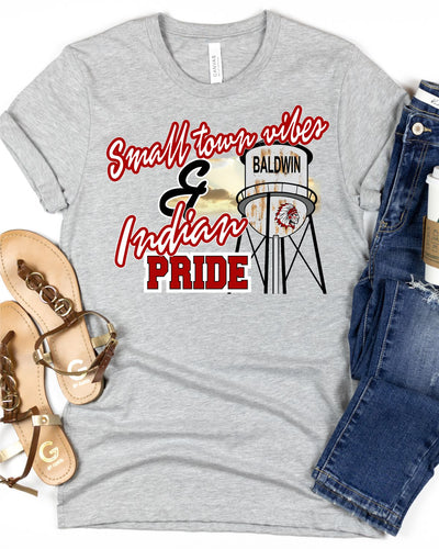 Small Town Vibes & Baldwin Indian Pride Transfer