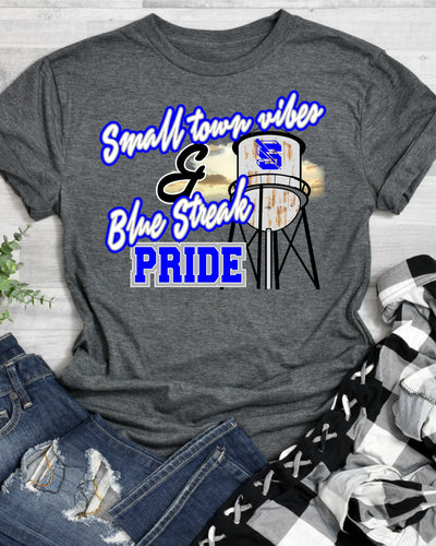 Small Town Vibes & Sebring Blue Streak Pride DTF Transfer